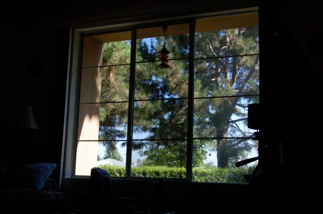 Our view from the living room_846011533_l