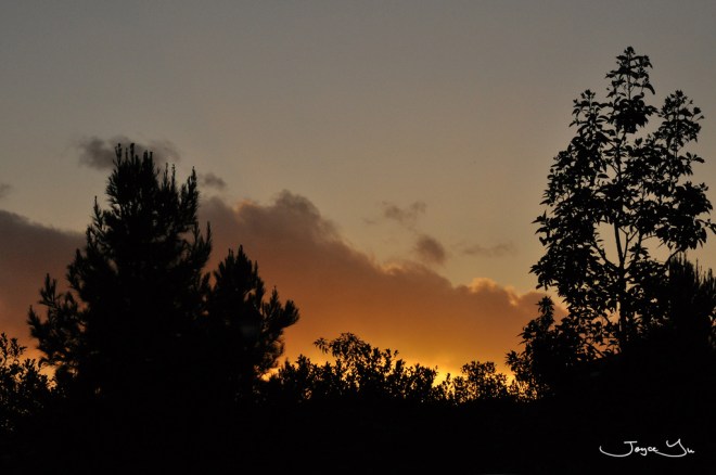 raincloud on sunset_4538706640_l