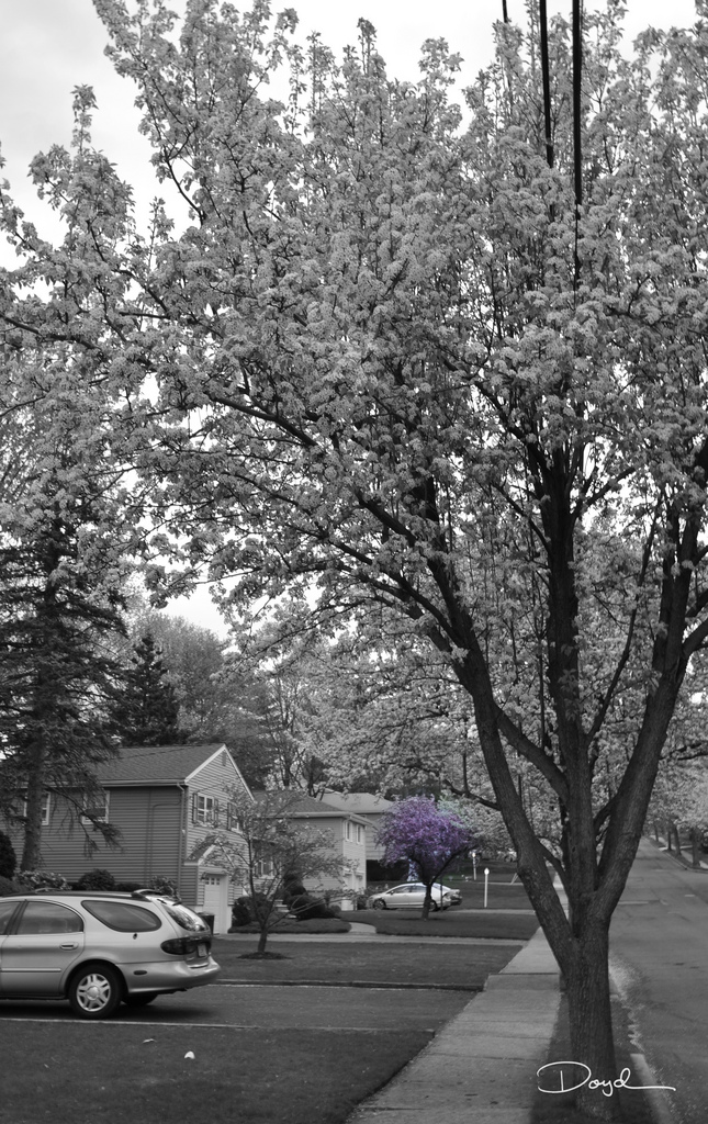 residential new jersey_4538757814_l