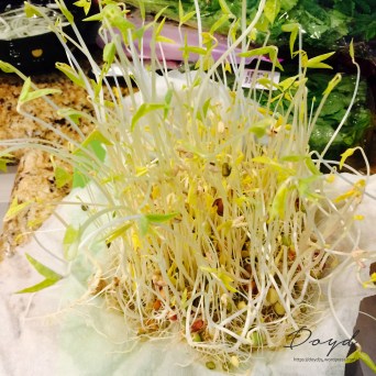 Bean Sprouts