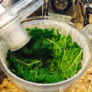 Collard greens in the salad bowl after a good wash