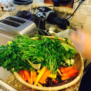 Lots of Parsley and Cilantro