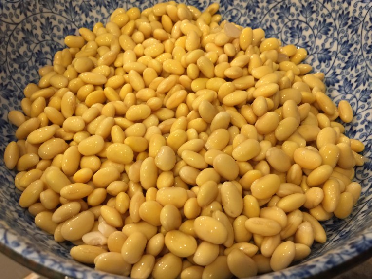 Wash Soy Beans and remove dead floating ones